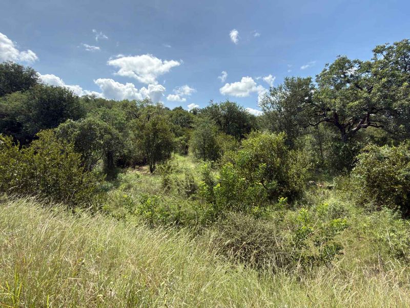 Prime Development opportunity between Hoedspruit and Phalaborwa - Photo 8