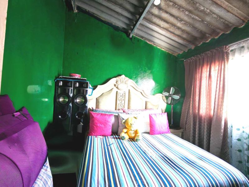A bedroom featuring exposed corrugated roof sheeting and timber rafters, requiring cosmetic updates to improve the overall finish and aesthetic appeal.