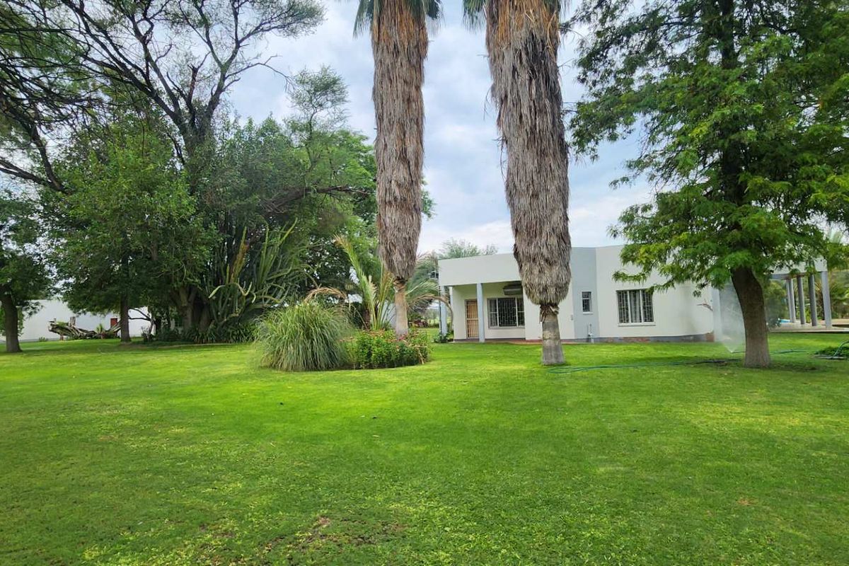 Prime Plot for Sale with strong water! 11 Hectares Nestled near the banks of Swakop River, just 8km West of Okahandja! Your Perfect Opportunity Awaits! - Photo 5