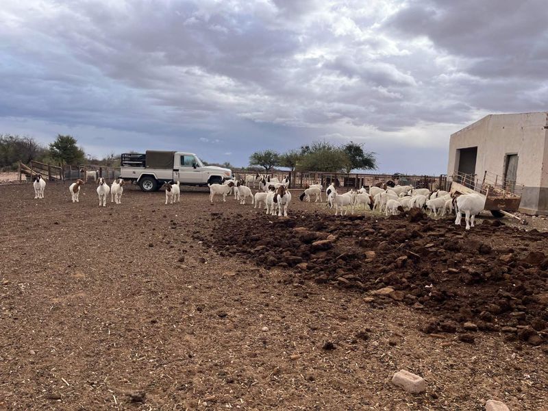 Boesmanland farm for sale near Kenhardt. - Photo 5