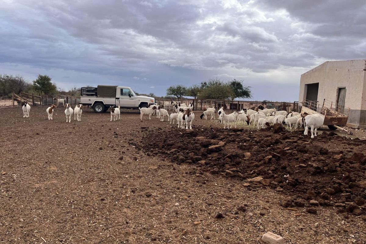 Boesmanland farm for sale near Kenhardt. - Photo 5