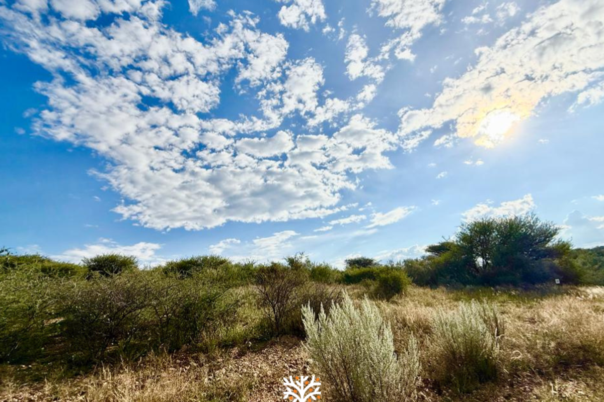 A view of the vacant residential land featuring natural vegetation and open terrain under a bright, sunny sky.