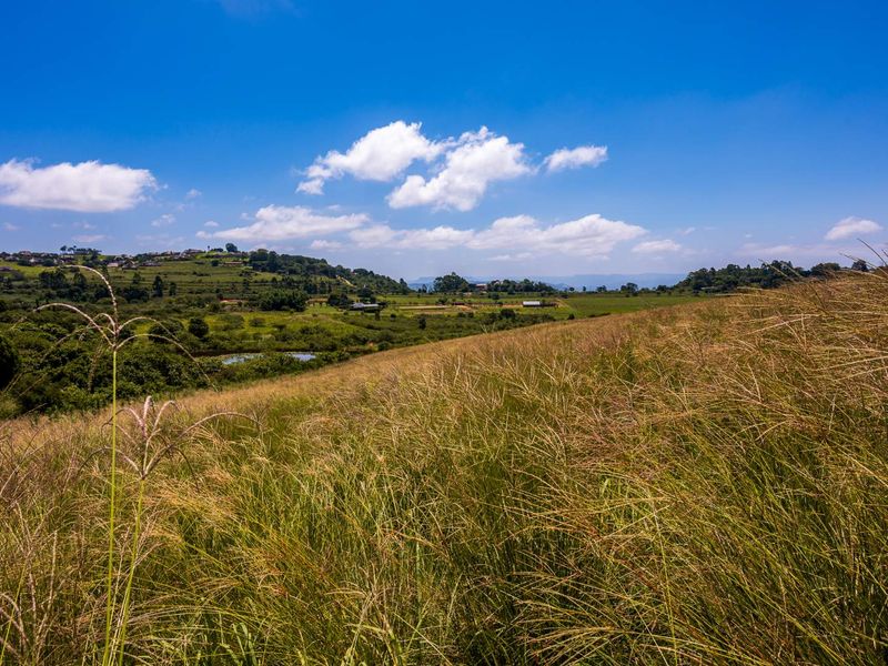 Peaceful Land in Stoneford Country Estate - Photo 7