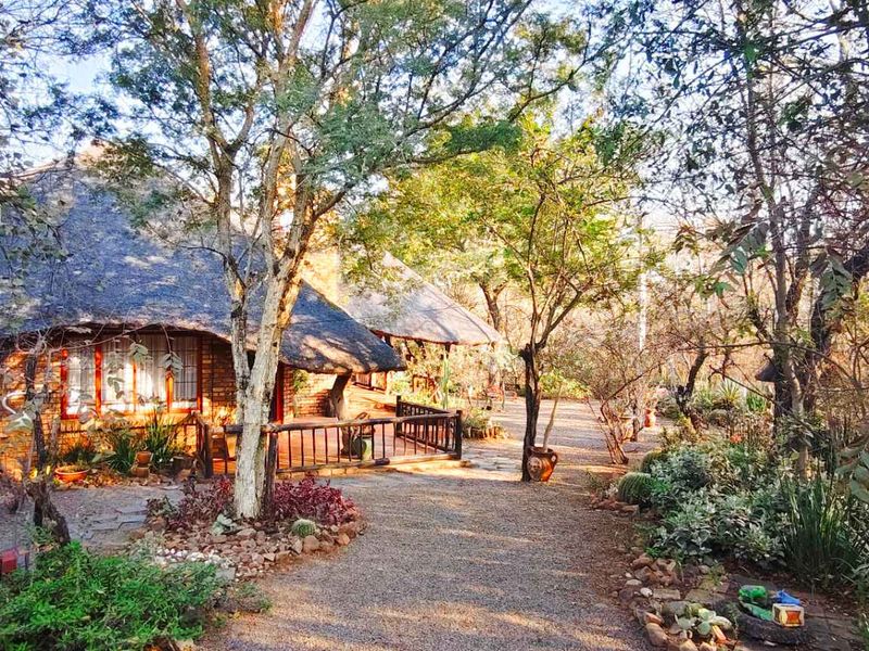 Two Homes, Wild Garden & Entertainment Area—Perfect Investment - Photo 1