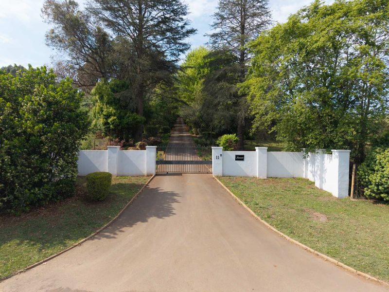 A paved driveway leading to a secure gated entrance with a white perimeter wall, surrounded by mature trees on a farm property.