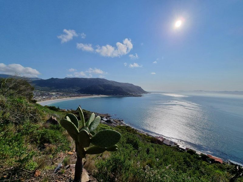 46 Cliff Road Fish Hoek - An Elevated Point of View - Photo 2