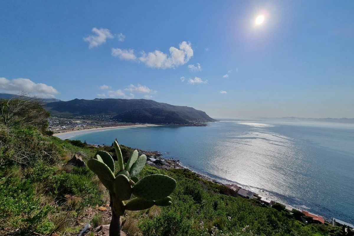46 Cliff Road Fish Hoek - An Elevated Point of View - Photo 2