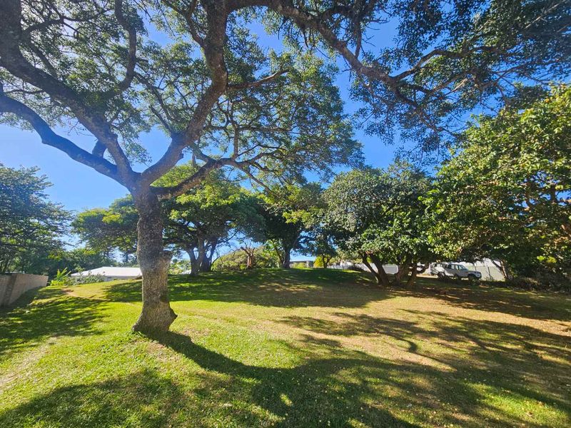 Build Your Tropical Masterpiece in St Lucia 🌿 - Photo 5