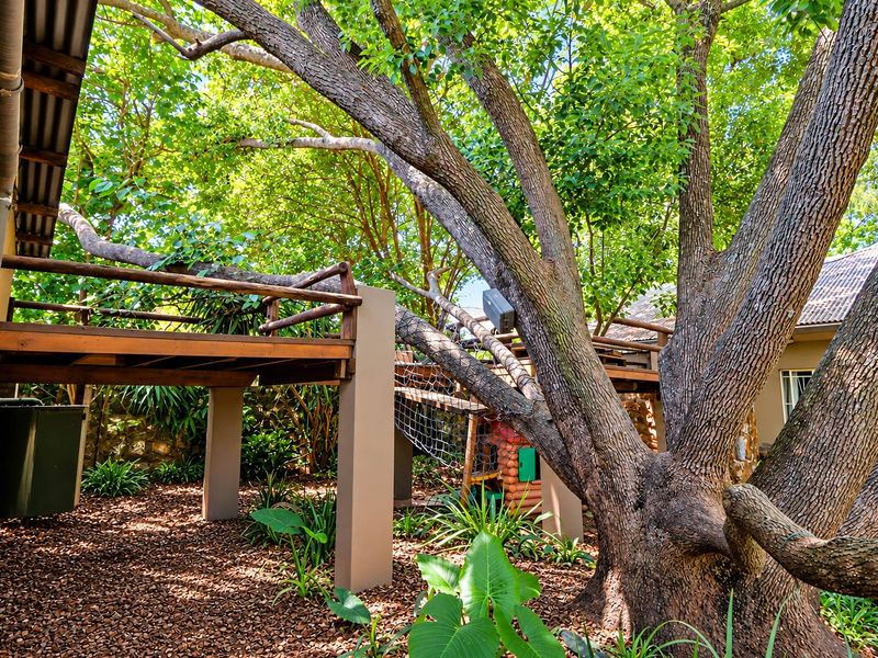 A shaded garden area featuring a raised wooden deck structure integrated with mature trees and stone walling, providing a natural outdoor space.