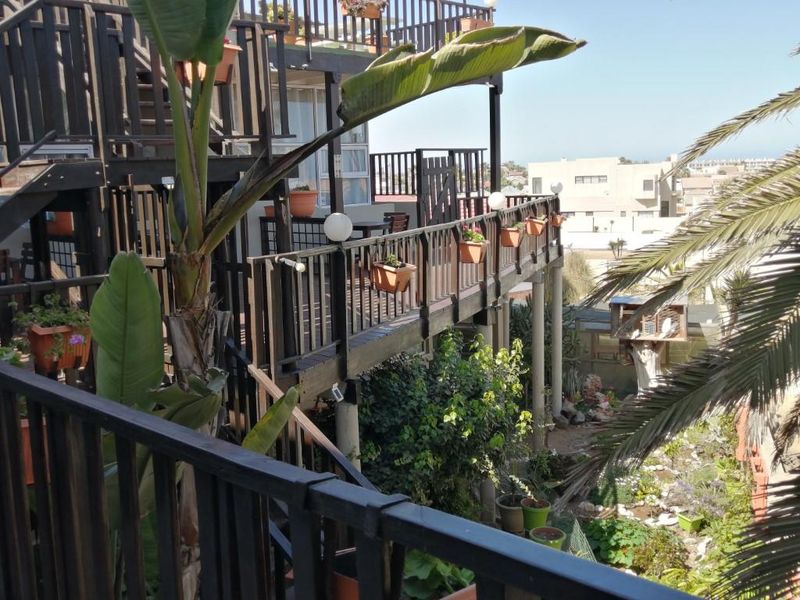 For Sale - Business opportunity – Lock, stock & barrel with butterflies and birds - Photo 2