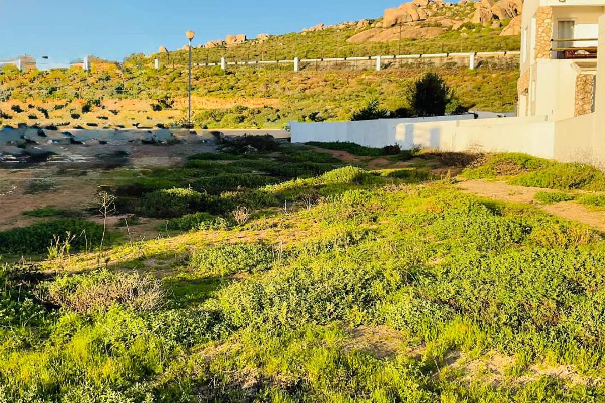 A view of the vacant residential land featuring natural vegetation, a boundary wall, and adjacent building structure.