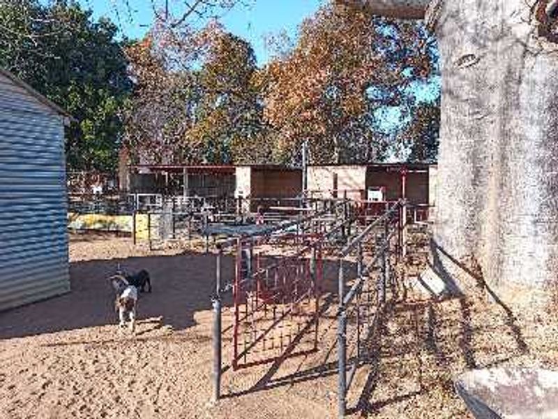 Prime 78-Hectare Farm: Comfort and Convenience Near Naboomspruit - Photo 9