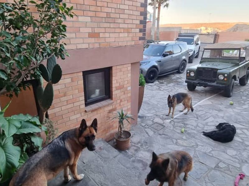 🌊 Exquisite Oceanfront Retreat – 5 En-Suite Bedrooms, Natural Pool & Unmatched Sunset Views - Photo 9