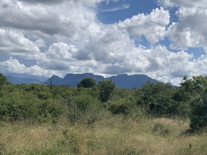 A scenic view of the natural landscape featuring indigenous bushveld vegetation and a prominent mountain range in the background.