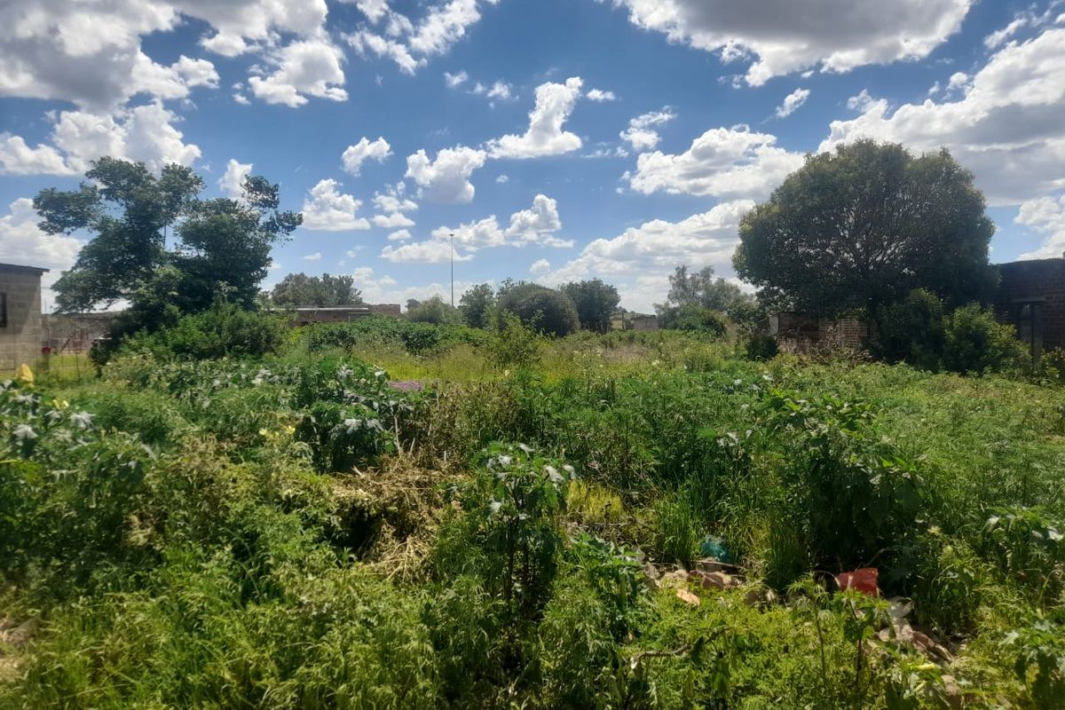 Vacant land botshabelo. - Photo 3