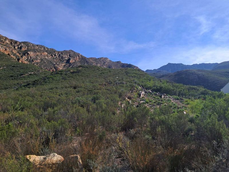 A scenic view of the natural mountain landscape and indigenous vegetation, showcasing the expansive terrain of the vacant residential land.