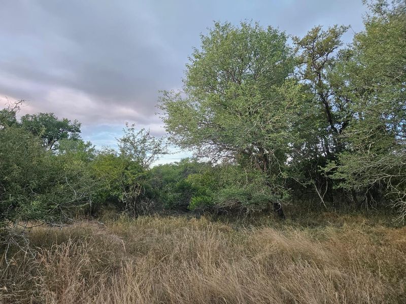 Vacant Land in MODITLO NATURE RESERVE - Photo 8