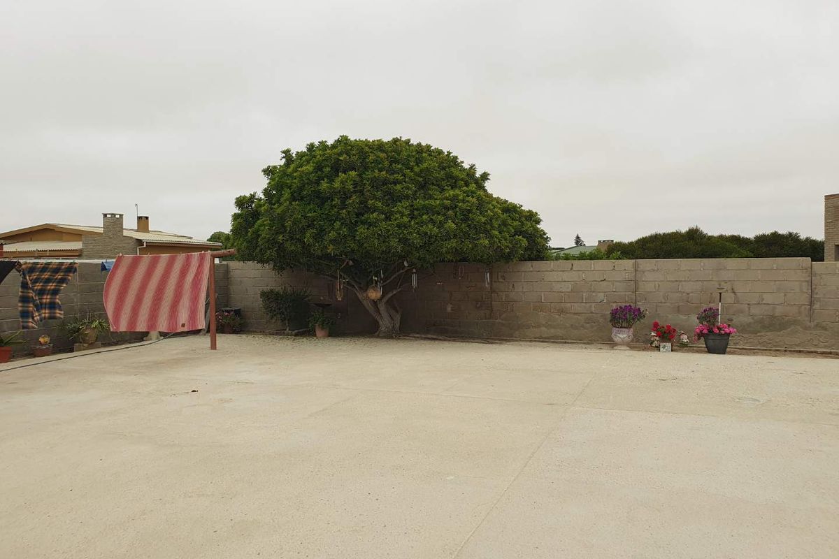 A spacious, paved rear yard featuring a large mature tree and a concrete block boundary wall.