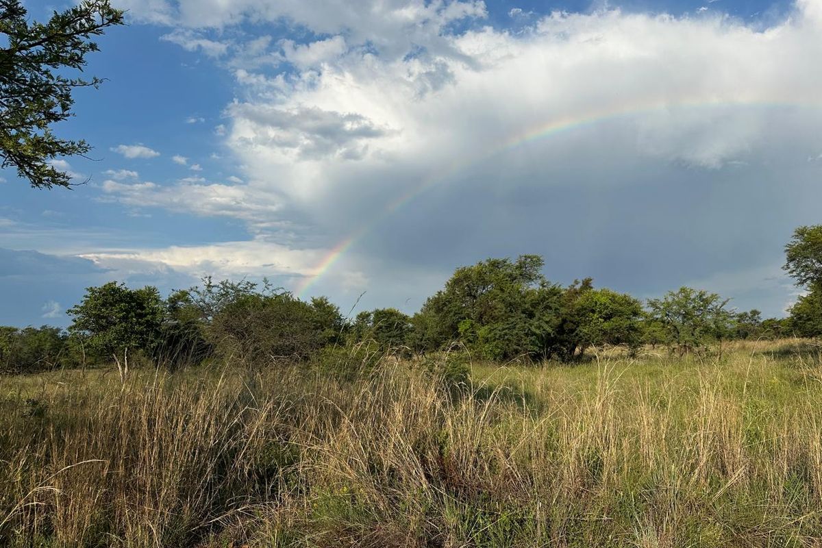 BUSVELD 4.2 HA VACANT LAND FOR SALE R1 272 000.00 - Photo 4