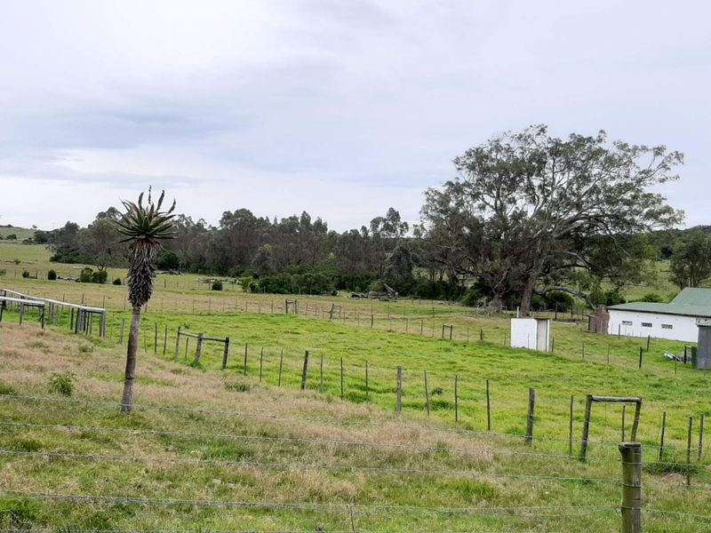 CHANGE YOUR LIFESTYLE TO COUNTRY LIVING - Photo 5