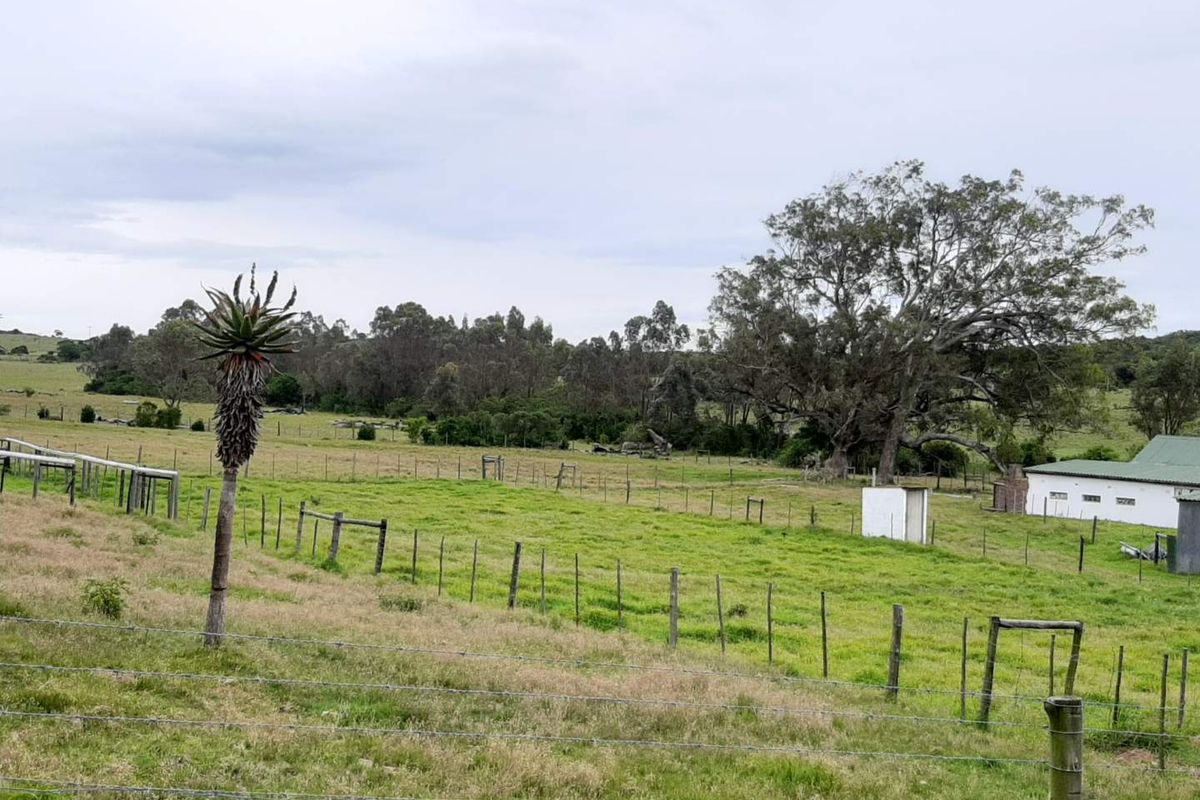 CHANGE YOUR LIFESTYLE TO COUNTRY LIVING - Photo 5