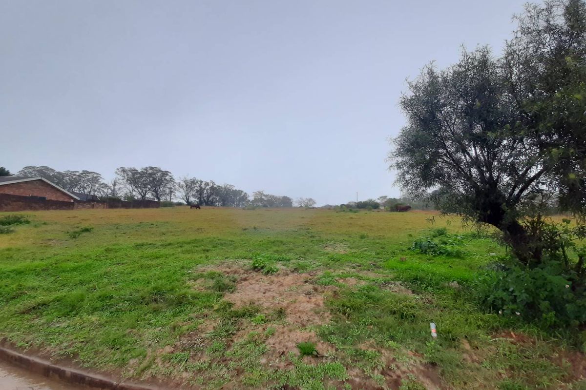 LARGE SIZED PLOT - Photo 3