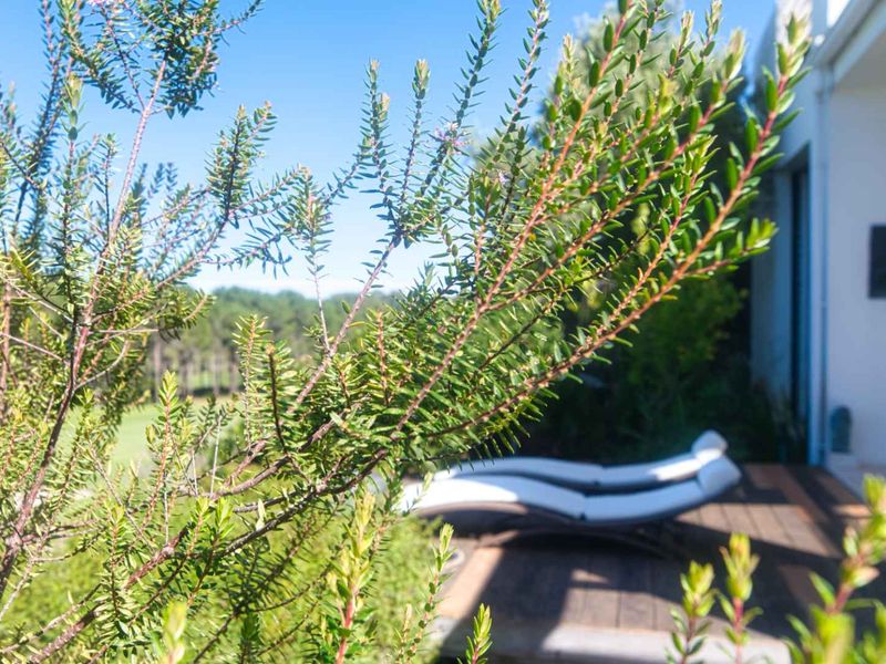 A sunny outdoor timber deck area overlooking a green landscape, providing a peaceful space for relaxation.