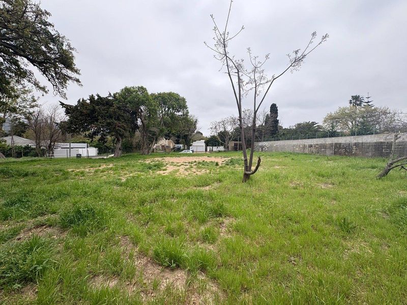 Vacant Land for Sale – 10 Spaanschemat River Road, Belle Constantia - Photo 2