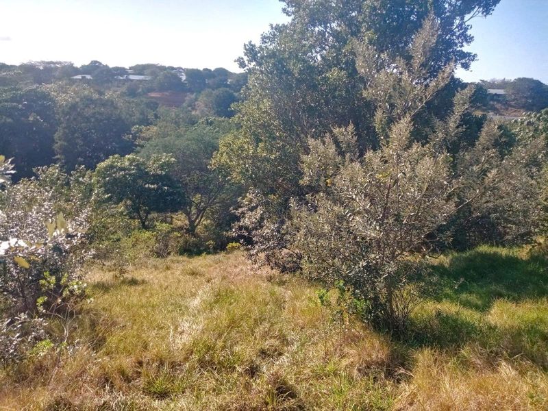 Vacant Land with Approved Architectural Masterpiece - Photo 5