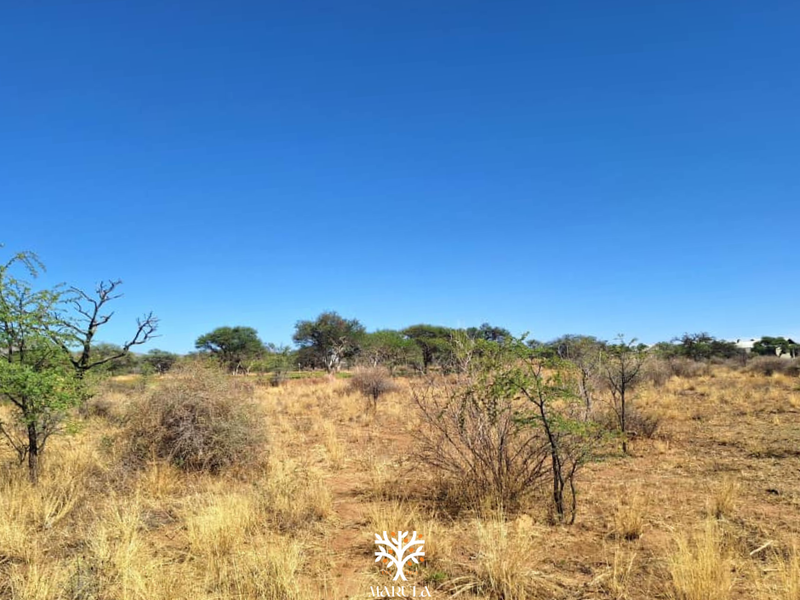 FOR SALE | N$790 500.00 | OMEYA ERF 112 - Photo 3