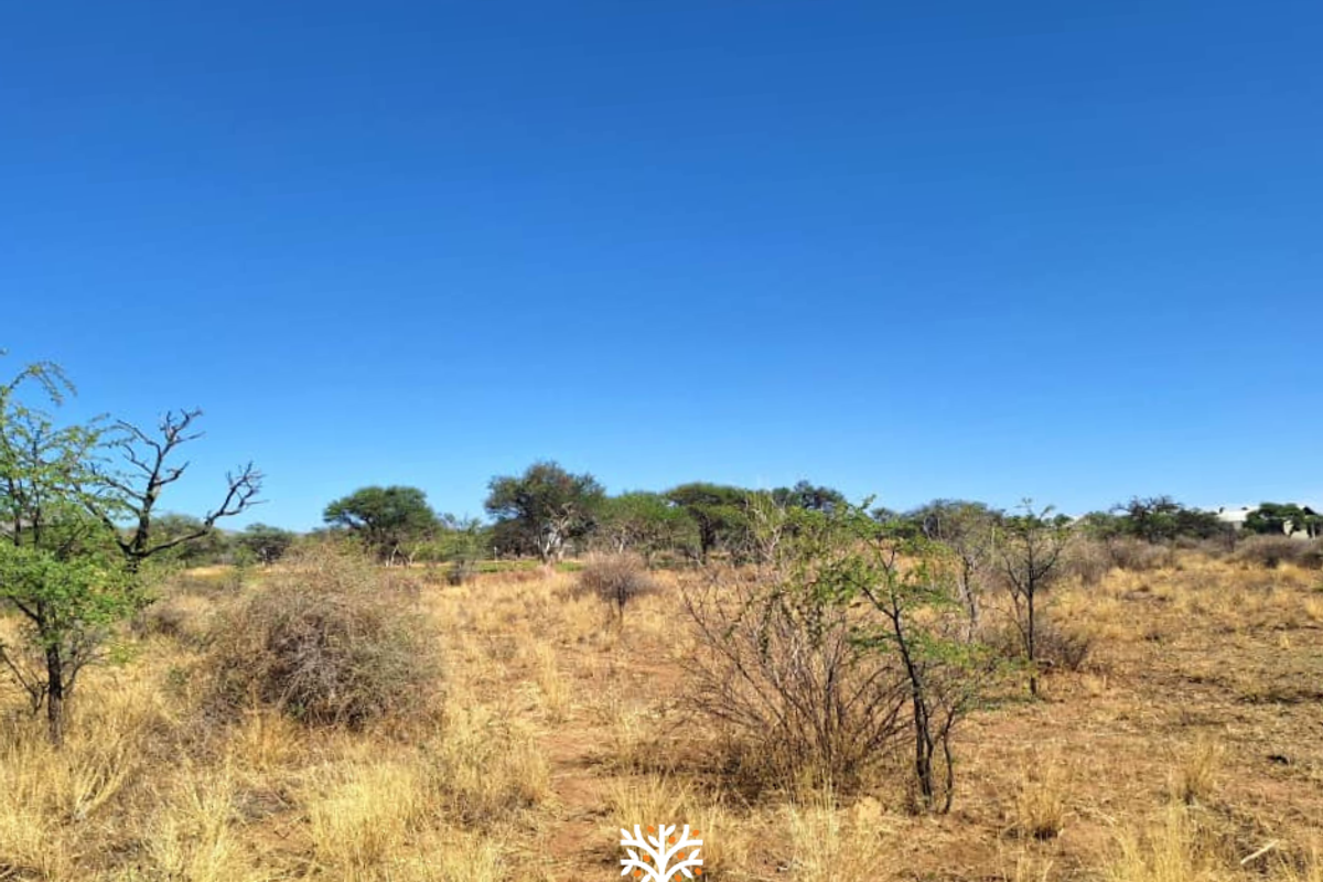 FOR SALE | N$790 500.00 | OMEYA ERF 112 - Photo 3