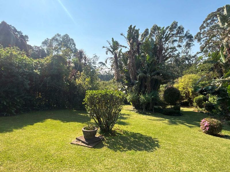 4-Bedroom Rental in Ambarlea, Hilton - Photo 5