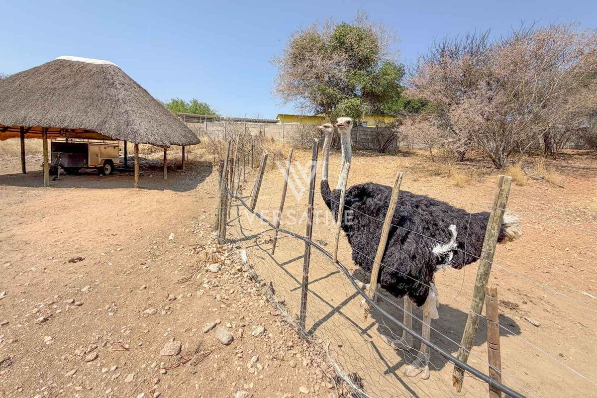 Outdoor area on a small holding featuring a traditional thatch roof lapa and wire mesh fencing.