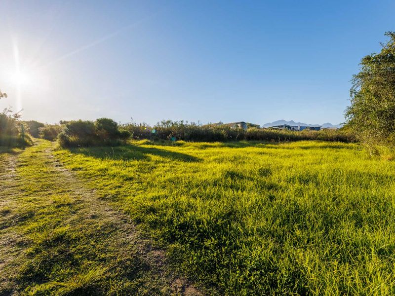 MOUNTAIN VIEW STAND IN QUIET CUL-DE-SAC IN OUBAAI GOLF ESTATE - Photo 2