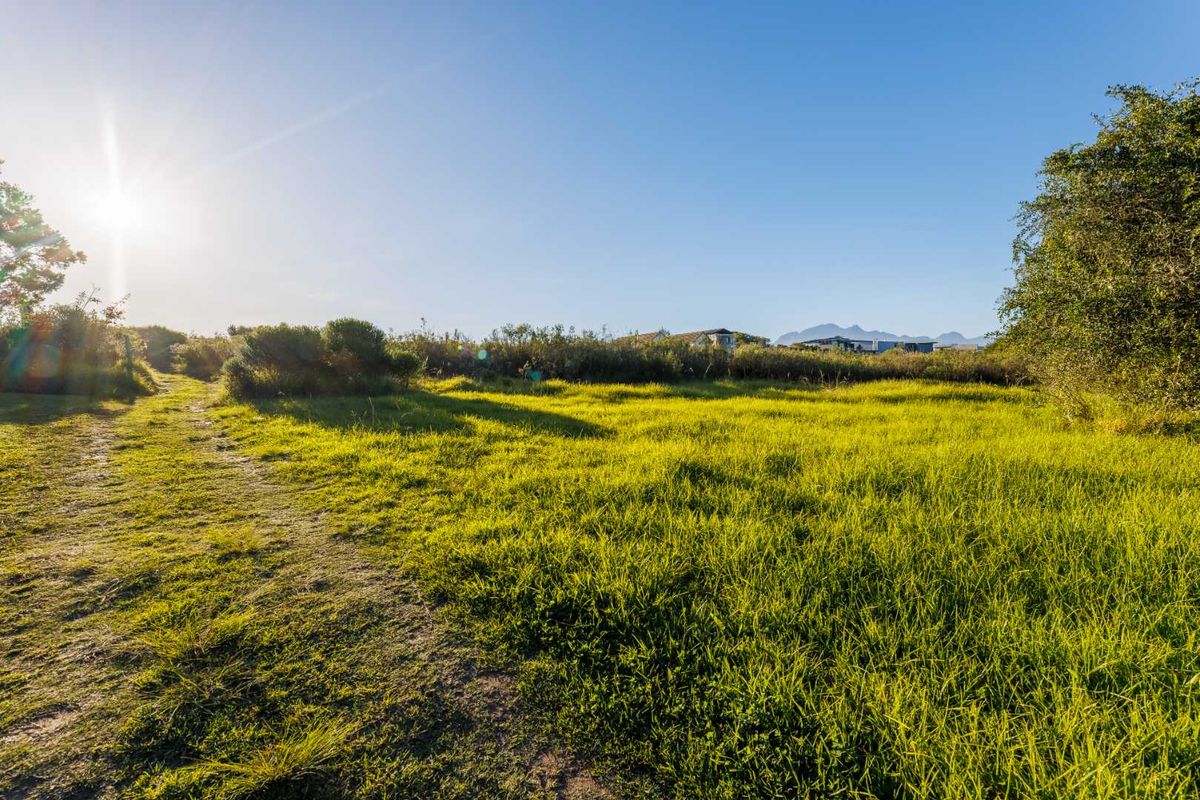 MOUNTAIN VIEW STAND IN QUIET CUL-DE-SAC IN OUBAAI GOLF ESTATE - Photo 2