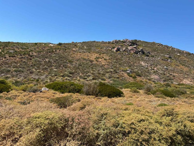 Coastal Stand for Sale – St Helena Views Phase 1 - Photo 1