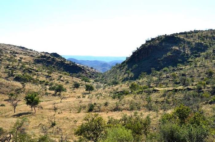 Property #2401981, Vacant Land Agricultural For Sale in Daan Viljoen