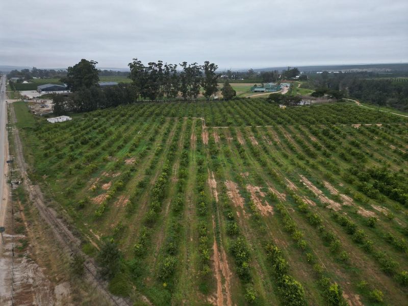 Aerial view of a large agricultural farm property featuring extensive orchard rows and established access infrastructure.
