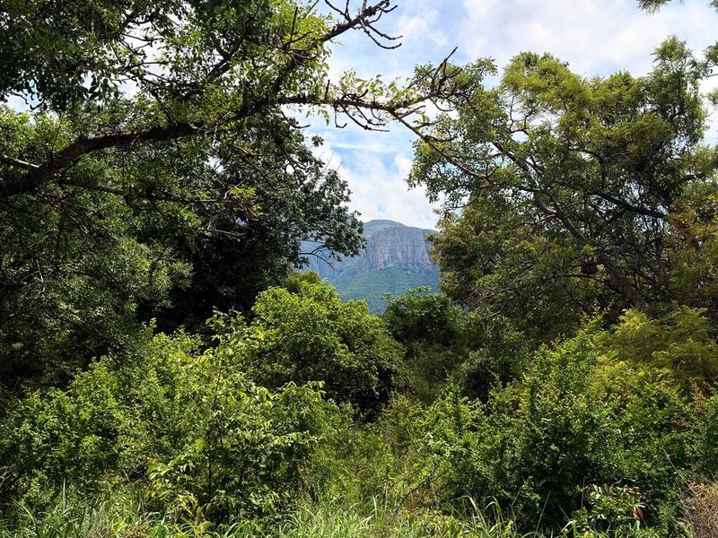 Kampersrus – Bedford Estate | Secluded Vacant Stand for sale with Mountain Views - Photo 4