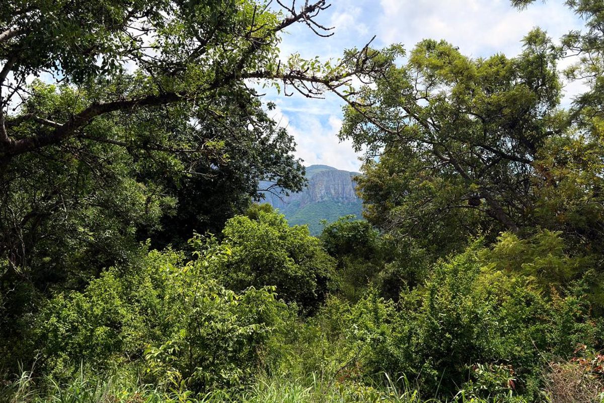 Kampersrus – Bedford Estate | Secluded Vacant Stand for sale with Mountain Views - Photo 4