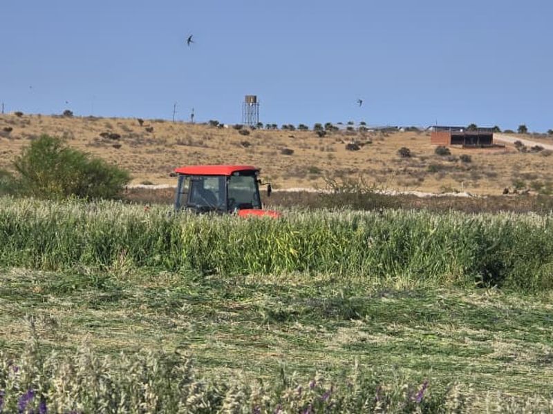 61 Hectares of Irrigated Farming Potential! - Photo 4