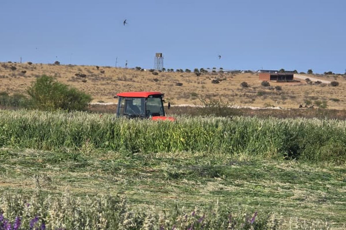 61 Hectares of Irrigated Farming Potential! - Photo 4