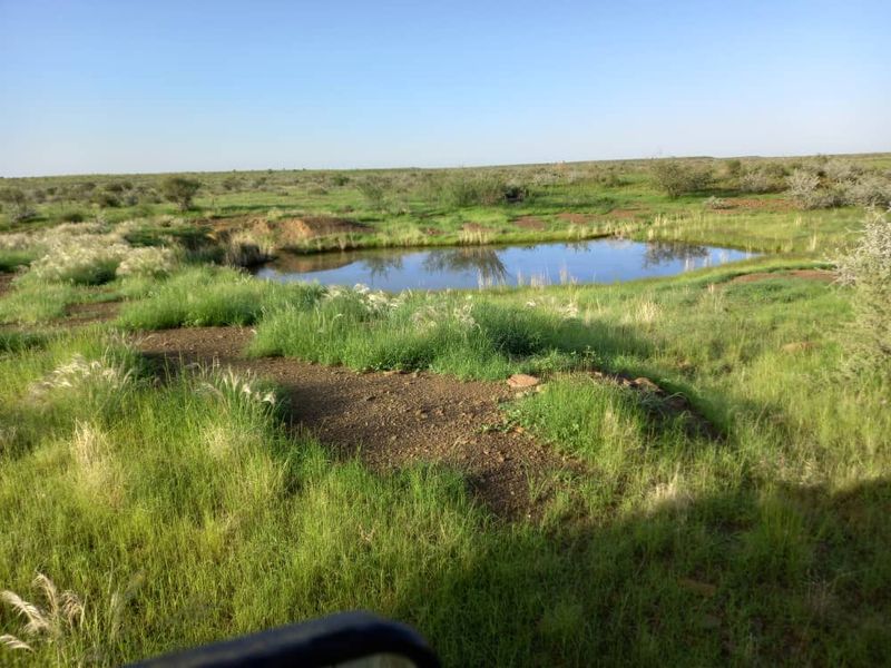 Farm For Sale - Photo 2