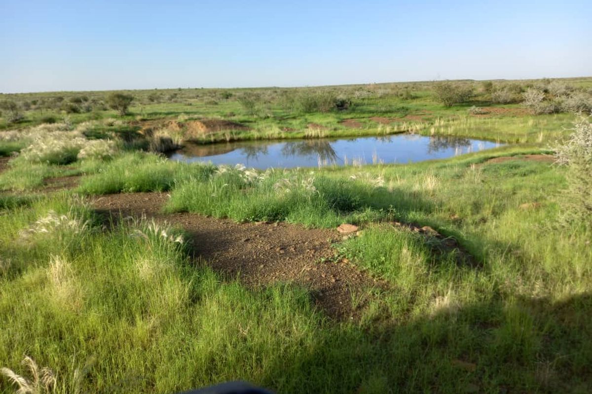 Farm For Sale - Photo 2