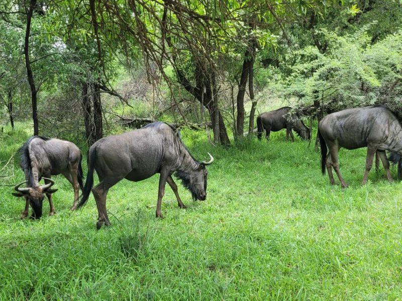 Embrace Tranquility - Prime Stand - Photo 8