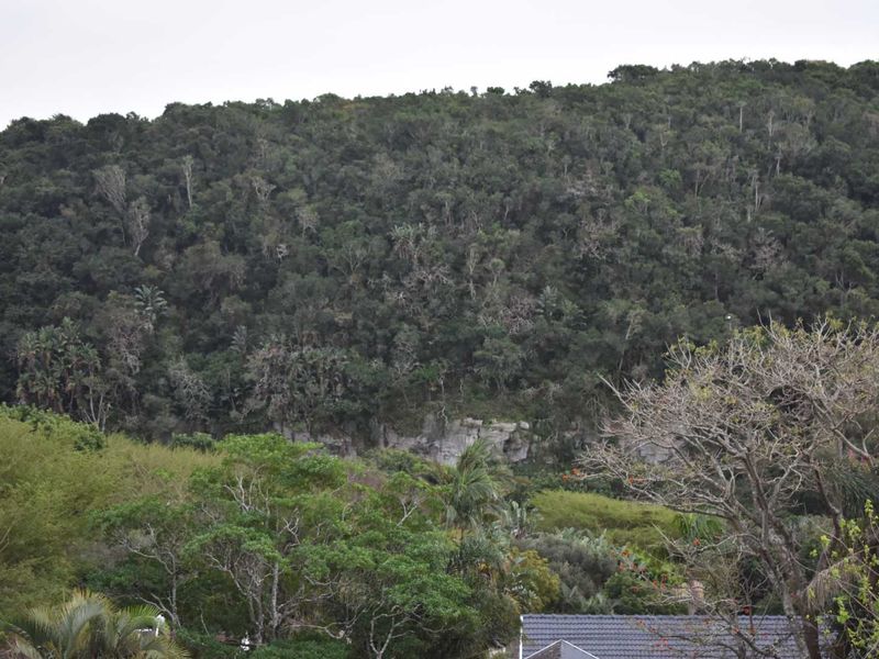 The Right address! - Photo 3