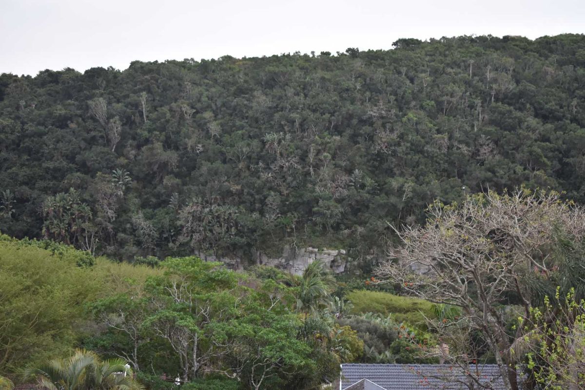 The Right address! - Photo 3