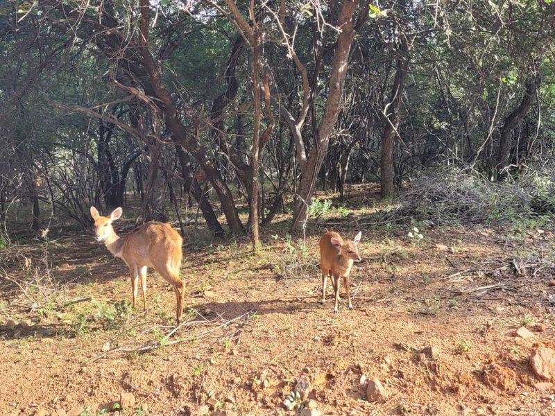 400m2 Stand Level Stand - Photo 7