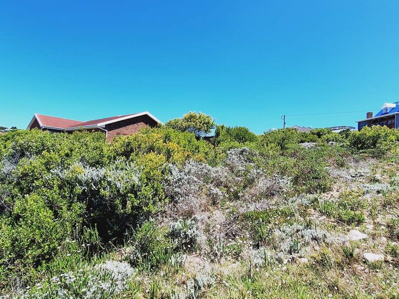 A view of a vacant residential plot featuring natural vegetation with surrounding neighborhood houses visible in the background.