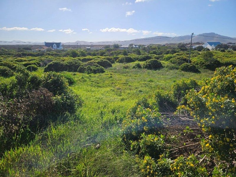 A view of the vacant commercial land featuring natural coastal vegetation and surrounding residential landscape in the distance.